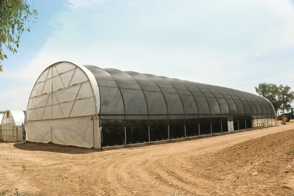 How Long Does It Take to Install a Hoop House